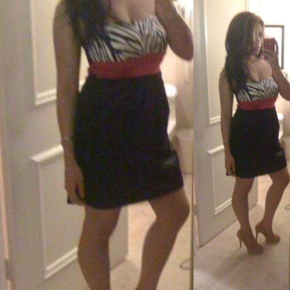 Strapless Mini Dress Zebra Print Red Ribbon Sash